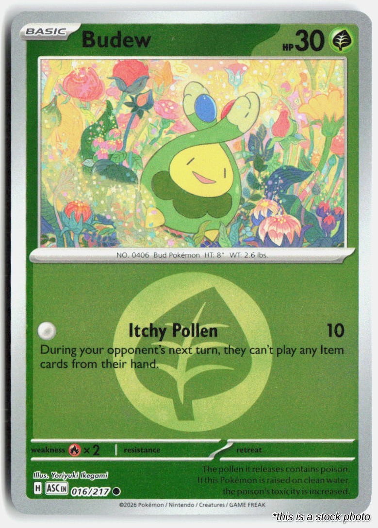 Budew - 016/217 (Energy Symbol Pattern)